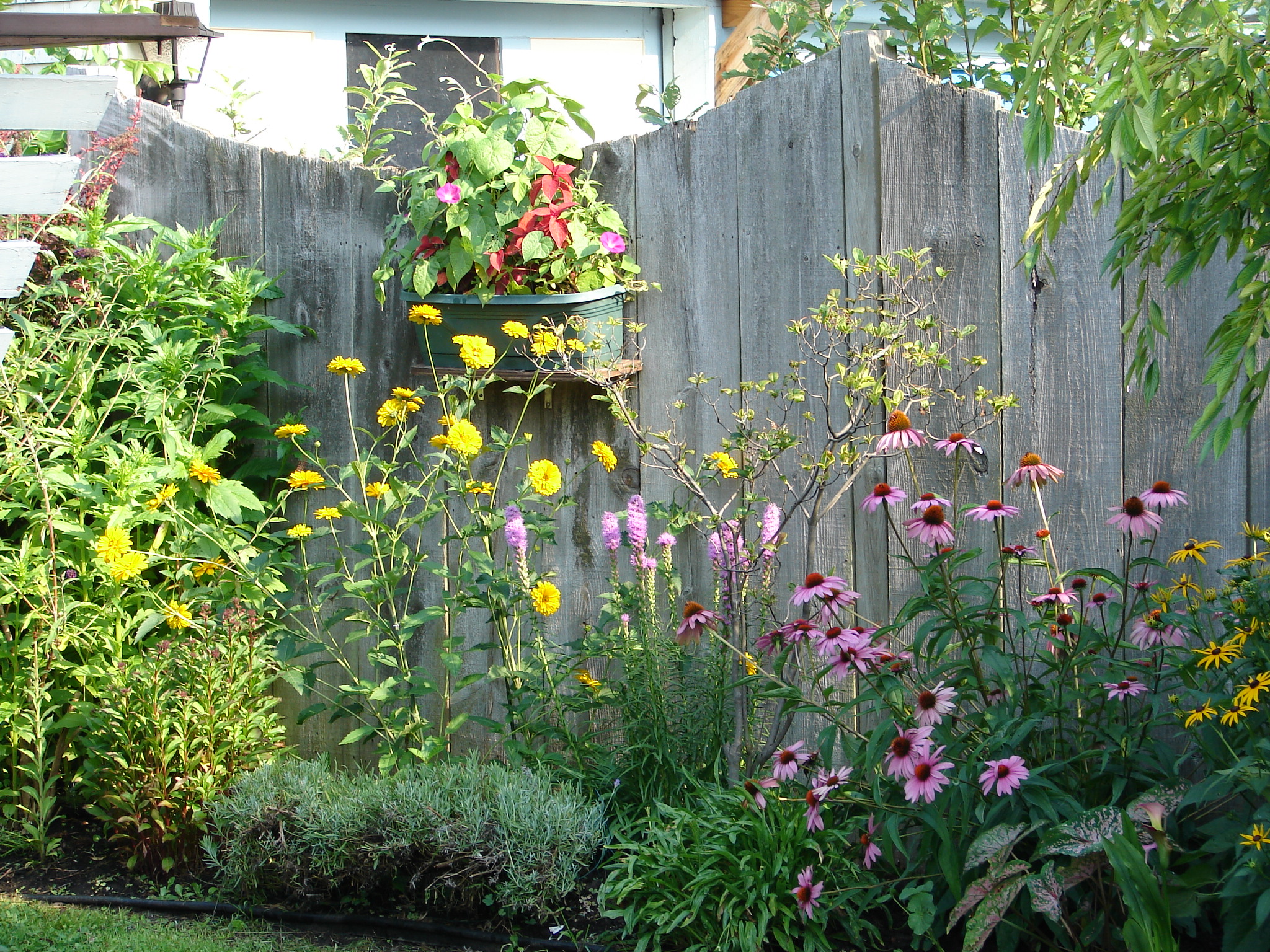 Part of rear garden.